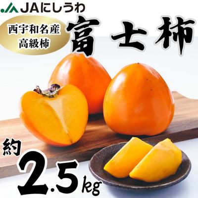 ふるさと納税 八幡浜市 JAにしうわの季節のくだもの(富士柿約2.5kg)[D08-88]