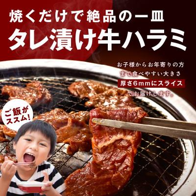 ふるさと納税 泉佐野市 【総量 2.5kg】牛タン&牛ハラミ 大満足焼肉セット |  | 03