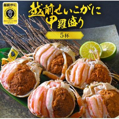 ふるさと納税 越前町 越前せいこ蟹 甲羅盛り「身出し」セット 5杯[12月より順次発送]