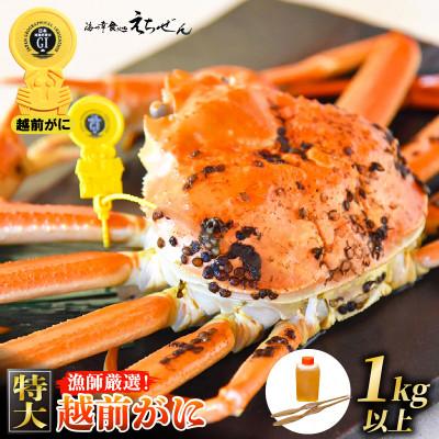 ふるさと納税 越前町 ≪浜茹で≫ 越前がに 特大 1杯 かに酢 かにスプーン 食べ方QRコード付き[12月より発送]