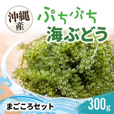ふるさと納税 糸満市 「ぷちぷち海ぶどう」まごころセット 300g 沖縄県 糸満市