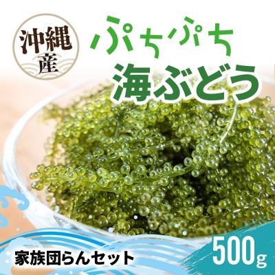 ふるさと納税 糸満市 ぷちぷち海ぶどう 家族団らんセット 500g 沖縄県 糸満市