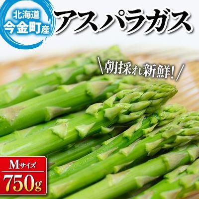 ふるさと納税 今金町 [2026年先行受付]朝採れ新鮮アスパラ 750g Mサイズ 秀品 北海道産 旬野菜