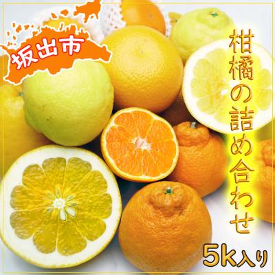 ふるさと納税 坂出市 今が旬の柑橘勢揃い!坂出産の柑橘詰め合わせ 4種類以上約5kg入り