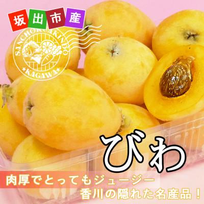 ふるさと納税 坂出市 坂出市の隠れた名産品!枇杷[びわ]約250g×4パックの詰め合わせ