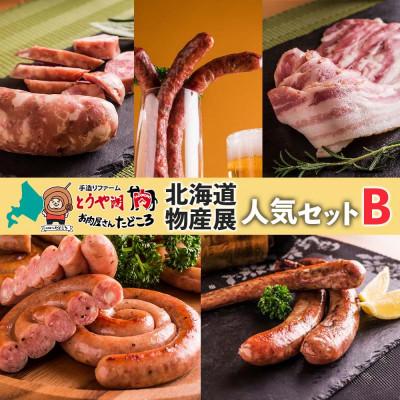ふるさと納税 洞爺湖町 北海道洞爺湖町 お肉屋さんたどころ 北海道物産展人気セットB ソーセージ