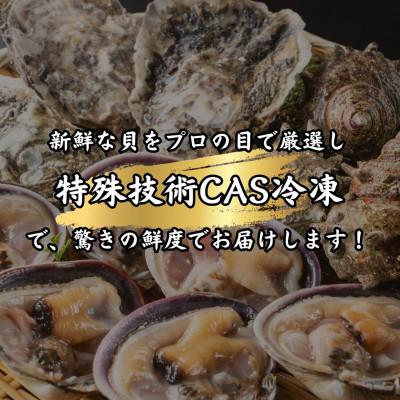 ふるさと納税 南知多町 三河湾の貝づくし2種・海鮮BBQセット1kg(バーベキュー用:天然大アサリ、篠島の殻付きカキ) |  | 02