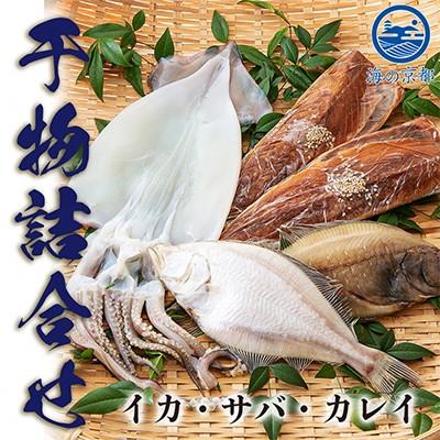 ふるさと納税 宮津市 やまいち自慢の干物詰め合わせセット [冷凍]