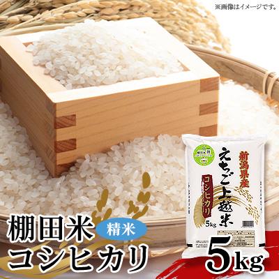 ふるさと納税 上越市 JA えちご上越 棚田米コシヒカリ(5kg)
