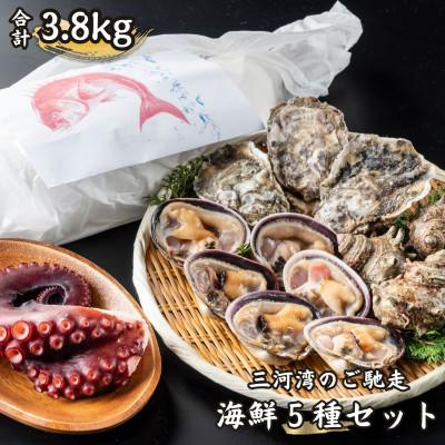 ふるさと納税 南知多町 三河湾のご馳走・海鮮5種セット(鯛の塩釜、殻付き牡蠣、大アサリ、サザエ、日間賀島の茹で蛸)CAS冷凍