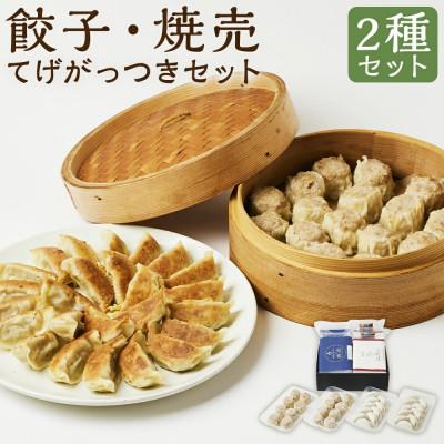 ふるさと納税 高鍋町 [のし付き]てげがっつきセット(豚と野菜のギョーザ+焼売)