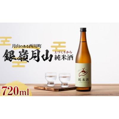 ふるさと納税 西川町 月山のある西川町 銀嶺月山 純米酒(土作りから)720ml FYN9-819
