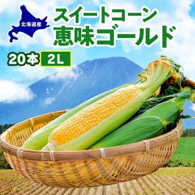 ふるさと納税 洞爺湖町 &lt;2026年先行受付&gt;北海道 丸田農園のスイートコーン めぐみゴールド 2L 20本 とうもろこし