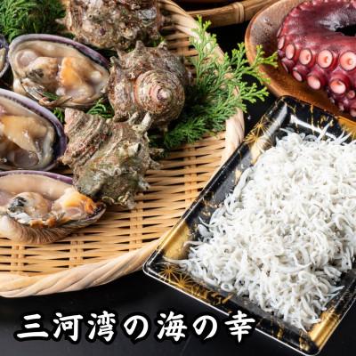 ふるさと納税 南知多町 三河湾海鮮おつまみ4種セット:ゆで蛸(タコ)、大アサリ、サザエ、釜揚げしらす[CAS冷凍]訳あり
