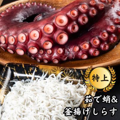 ふるさと納税 南知多町 こだわりの茹で蛸(タコ)&amp;特上 釜揚げしらすセット(三河湾の海鮮2品・約500g)CAS冷凍・小分け