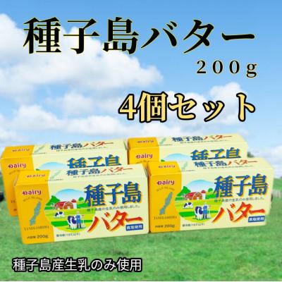 ふるさと納税 西之表市 種子島バター4個セット