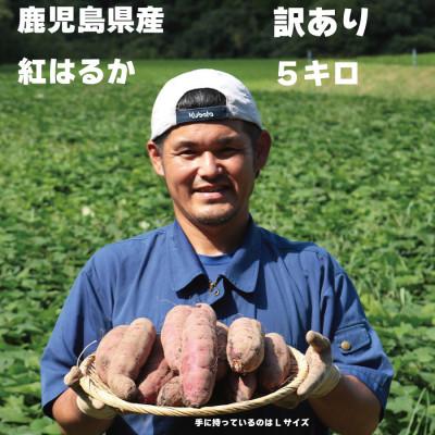 ふるさと納税 南大隅町 さつまいもファン必見!鹿児島産『紅はるか』をいち早くお届け 訳アリ5キロ