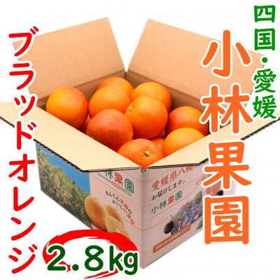 ふるさと納税 八幡浜市 愛媛・小林果園のブラッドオレンジ 約2.8kg[C24-32]