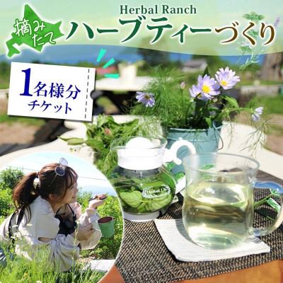 ふるさと納税 洞爺湖町 北海道 摘みたて ハーブティー作り体験 ハーブ お茶 ハーバルランチ 洞爺湖町