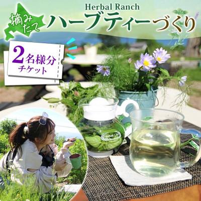ふるさと納税 洞爺湖町 北海道 摘みたて ハーブティー作り体験 2枚 ハーブ お茶 ハーバルランチ 洞爺湖町