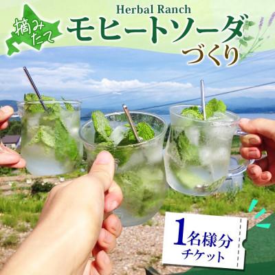 ふるさと納税 洞爺湖町 北海道 モヒートソーダ作り体験 ミント ノンアルコール ハーバルランチ 洞爺湖町