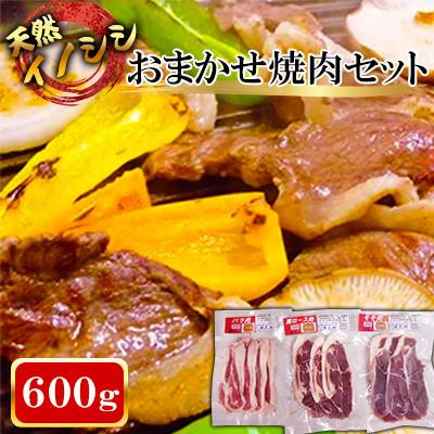 ふるさと納税 川棚町 [ジビエ 天然イノシシ肉]おまかせ焼肉セット 600g (ロース・モモ・バラ)