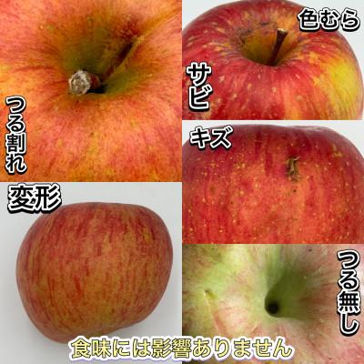 ふるさと納税 黒石市 【訳あり品】サンふじ　3kg(7〜12個入)　令和8年11月〜随時発送 | 