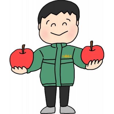 ふるさと納税 黒石市 【訳あり品】サンふじ　3kg(7〜12個入)　令和8年11月〜随時発送 |  | 02