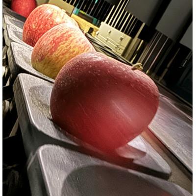 ふるさと納税 黒石市 【訳あり品】サンふじ　3kg(7〜12個入)　令和8年11月〜随時発送 |  | 03