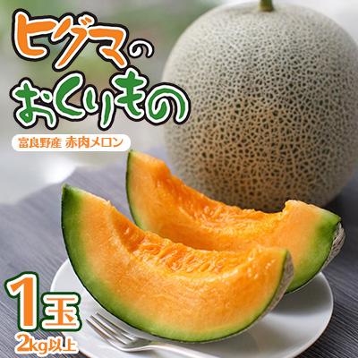 ふるさと納税 富良野市 [2026年発送先行受付]ヒグマのおくりもの 富良野メロン (赤肉) 1玉 2kg以上