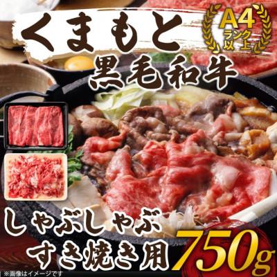 ふるさと納税 錦町 訳あり![A4〜A5]くまもと黒毛和牛しゃぶしゃぶすき焼き750gセット(錦町)