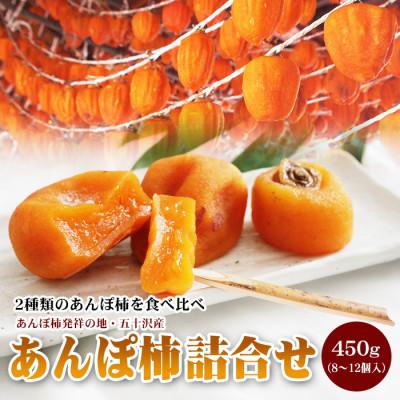 ふるさと納税 伊達市 福島県伊達市 五十沢産 あんぽ柿 詰め合わせ (はちや柿・ひらたね柿) 450g (8〜12個入)