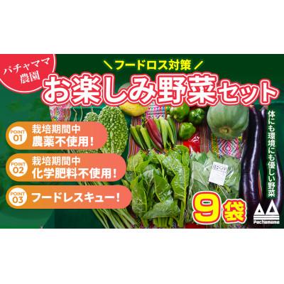 ふるさと納税 下妻市 お楽しみ★農園自慢の情熱野菜セット9袋 フードロス対策 訳あり
