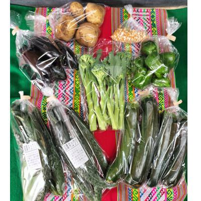 ふるさと納税 下妻市 お楽しみ★農園自慢の情熱野菜セット9袋　フードロス対策　訳あり |  | 01