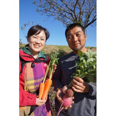 ふるさと納税 下妻市 お楽しみ★農園自慢の情熱野菜セット9袋　フードロス対策　訳あり |  | 03