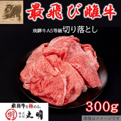 ふるさと納税 養老町 【最飛び雌牛】飛騨牛A5等級切り落とし　300g | 