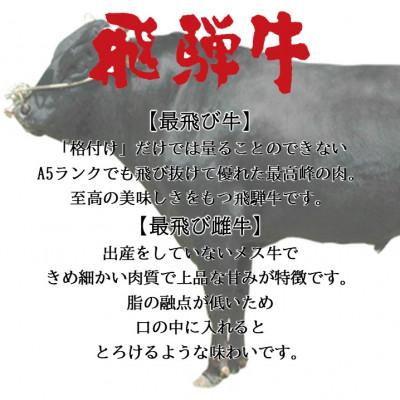 ふるさと納税 養老町 【最飛び雌牛】飛騨牛A5等級切り落とし　300g |  | 02
