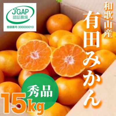 ふるさと納税 湯浅町 [先行受付2026年11月より順次発送]有田みかん 15kg (2S〜2L混合)[まごころ手選別]