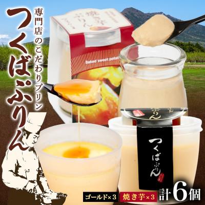 ふるさと納税 桜川市 ゴールドぷりん &amp; 焼き芋ぷりん 各3個 計6個 ふじ屋 茨城県桜川市