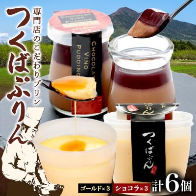 ふるさと納税 桜川市 ゴールドぷりん &amp; ショコラ・ヴィノ・プディング 各3個 計6個 ふじ屋 茨城県桜川市