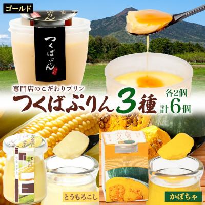 ふるさと納税 桜川市 ゴールドぷりん &amp; とうもろこしプリン &amp; かぼちゃぷりん 各2個 計6個 ふじ屋 茨城県桜川市