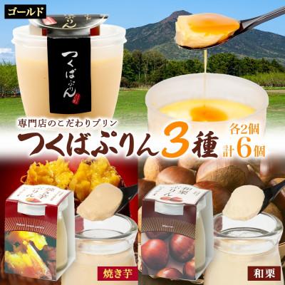 ふるさと納税 桜川市 ゴールドぷりん &amp; 焼き芋ぷりん &amp; 和栗ぷりん 各2個 計6個 ふじ屋 茨城県桜川市