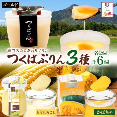 ふるさと納税 桜川市 熨斗付き ゴールドぷりん &amp; とうもろこしプリン &amp; かぼちゃぷりん 各2個 計6個 ふじ屋 桜川市