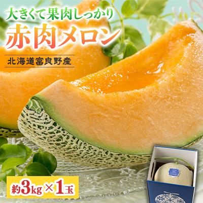 ふるさと納税 富良野市 [2026年発送]北海道富良野産 赤肉メロン 1玉(約3kg) 富良野メロン
