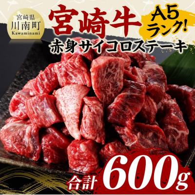 ふるさと納税 川南町 宮崎牛 厳選 A5ランク ヘルシー 赤身 サイコロステーキ 600g(300g×2パック)(川南町)