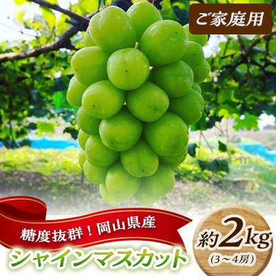 ふるさと納税 高梁市 [2026年発送]糖度抜群! ご家庭用 シャインマスカット 約2kg (3〜4房) 岡山県高梁市産