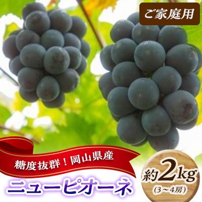 ふるさと納税 高梁市 [2026年発送]糖度抜群! ご家庭用 ニューピオーネ 約2kg (3〜4房) 岡山県高梁市産