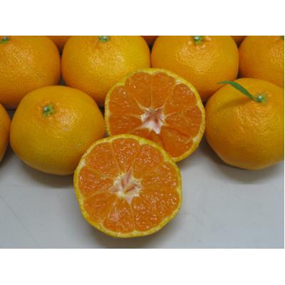 ふるさと納税 土庄町 小豆島みかん 約3kg