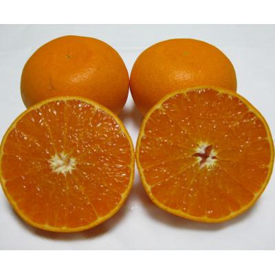 ふるさと納税 土庄町 小豆島ハウスせとか 約2kg