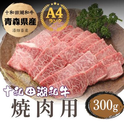 ふるさと納税 十和田市 牧場直売[A5〜A4等級] 十和田湖和牛 焼肉用約300g